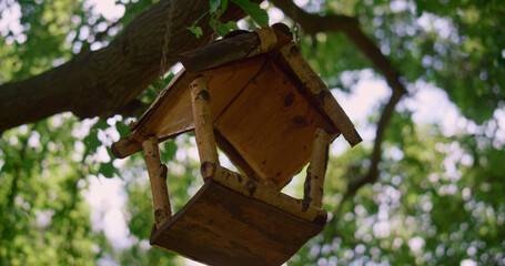 Bird feeder hanging on tree on sunlight close up. Cute birdhause located in park