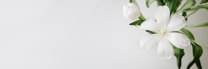 Fototapeta na wymiar 1x3 white spring flowers for Women's day blank