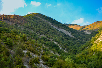 Fototapeta na wymiar View of the green mountain from the ski lift.