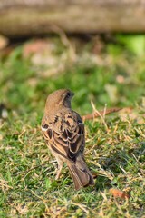 she is waiting for him to fly down.
