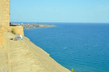 View from the Castillo de Santa Bárbara to the Mediterranean Sea in front of Alicante. On the castle wall sits a seagull looking out to sea