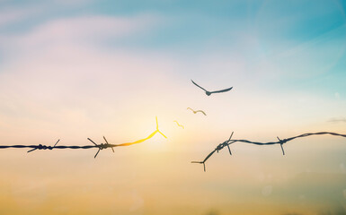 Barbed wire fence with sunset Twilight sky. Broke spike change transform to bird boundary concept...
