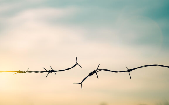 Barbed wire fence with sunset Twilight sky. Broke spike change transform to bird boundary concept for human rights slave prison hostage hope to freedom. International liberty day. abolition of slavery