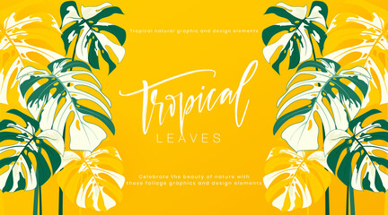 Tropical frame banner horizontal with monstera leaves on yellow background. Botanical vector creative design. Tropical leaves nature graphic element. Suit for poster, cover, cosmetics, spa, perfume. © MooJook