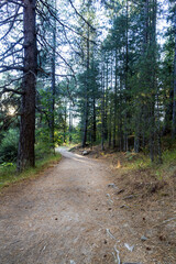 The Sila National Park