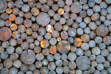 Round background wall collage of old wood cross section