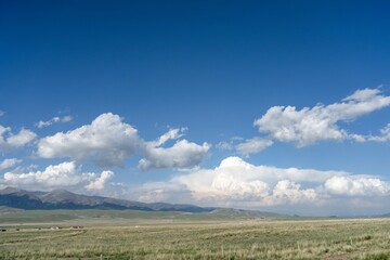 Fototapeta na wymiar Grassland, blue sky and white clouds by Qinghai Lake