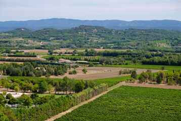 Fototapeta na wymiar Green vineyards on the outskirts of the village. Mountains on the horizon. Wine region. Joucas. Provence. France.
