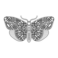 vector butterfly black and white element line art print design