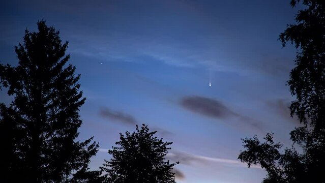 Timelapse view of Comet Neowiseing across the evening sky among the stars over the forest seen during 2020. comet c2020 f3 neowise against the background of trees on night sky. 