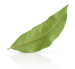 Single bay leaf isolated with clipping path on white background.
