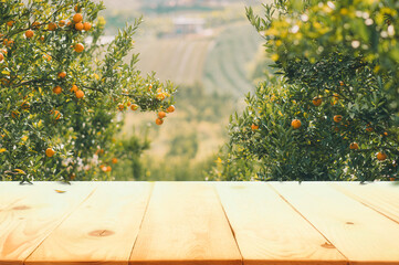 Empty wood table with free space over orange trees, orange field background. For product display montage