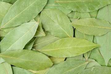 Dry bay leaves pattern. Food background, top view.