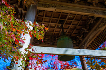 Fototapeta na wymiar 静岡県伊豆市修善寺　紅葉シーズンの修禅寺