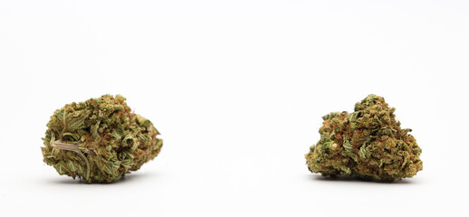 marijuana buds with central space for text, white background