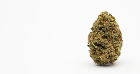 marijuana buds with space for text, white background