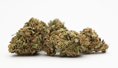 Set of marijuana, buds, on white background