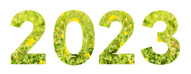 the inscription 2023 on a background of green grass with yellow flowers. new year 2023 concept..