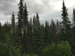 Alaska Wilderness