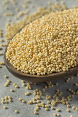 Raw Dry Organic Millet Grain