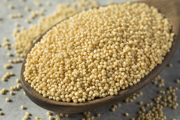 Raw Dry Organic Millet Grain