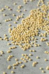 Fototapeta na wymiar Raw Dry Organic Millet Grain