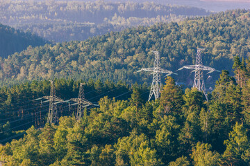 View of power lines passing through the forest