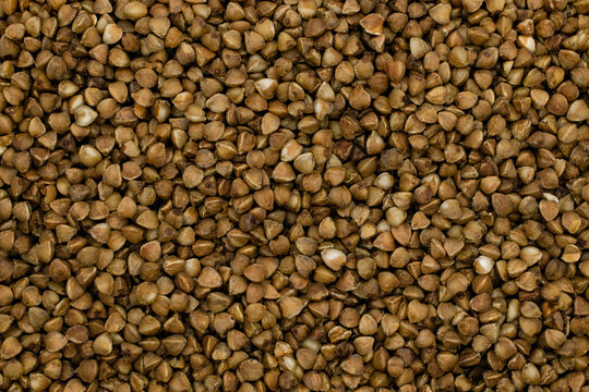 buckwheat groats close-up for the whole space