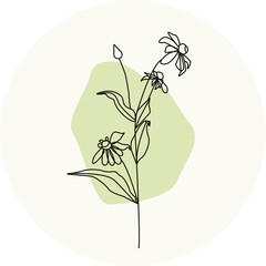 chamomile flower icon in circle