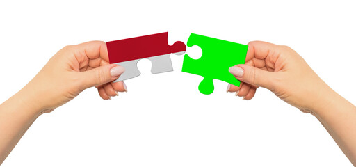 Woman hands are holding part of puzzle game. National mock up on white background. Monaco