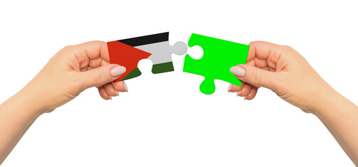 Woman hands are holding part of puzzle game. National mock up on white background. Palestinian National Authority