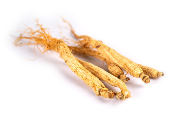 Ginseng, dried vegetable herb. Healthy food famous export food in Korea country isolated on white...