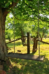 Homemade Rustic Wooden Swing Underneath Maple Tree on Farm in Summer