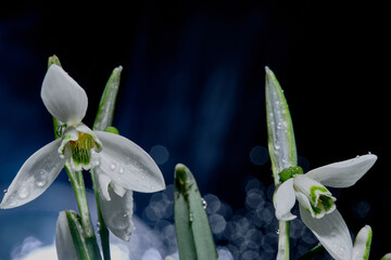 Fotograf, Wuppertal © Jacek