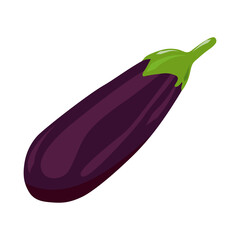 Eggplant. Vegetable, ripe fruit, cartoon flat style. Symbol, eggplant icon. Vector illustration isolated on white background. Food element design. Dark purple aubergine with green leaves.