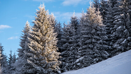 View of the Carpathians in winter, Romania
