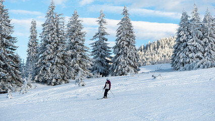 Skier riding on a ski track in the Carpathians in winter, Romania