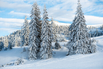 View of the Carpathians in winter, Romania