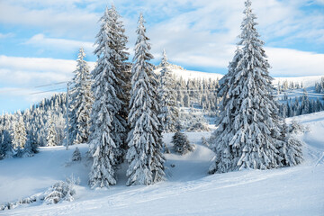 Obraz premium View of the Carpathians in winter, Romania
