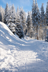 Fototapeta na wymiar A hiking track in the Carpathians in winter, Romania