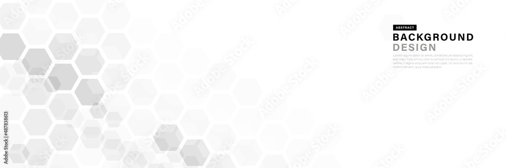 Poster abstract white and gray hexagon geometric shape background. modern simple geometric pattern design. 
