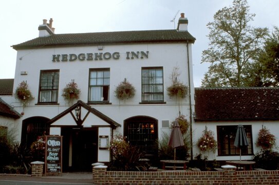 The Hedgehog Inn, Effingham road, Crawely, West Sussex, Formerly the Effingham Arms
