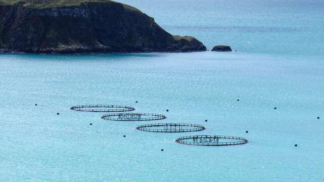 View of fish farms in Scotland, United Kingdom