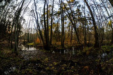 Brandenburg im Weitwinkel 2 - Tegeler Fließ
