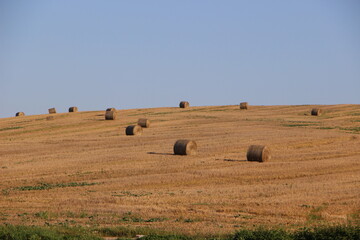 Obraz premium haystack