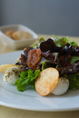 Green and purple lettuce salad. Arugula and pieces of casabe. Healthy food.