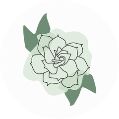 rose icon in circle