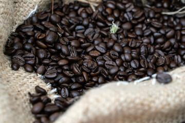 Roasted coffee beans in a textile bag, closeup