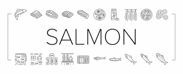 Salmon Fish Delicious Seafood Icons Set Vector .