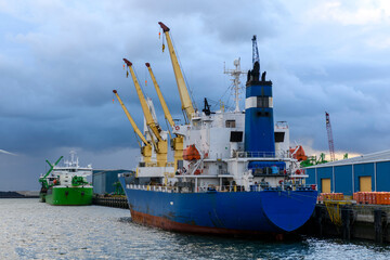 Fototapeta premium Blue refrigerated cargo vessel moored in port. Loading of cargo.